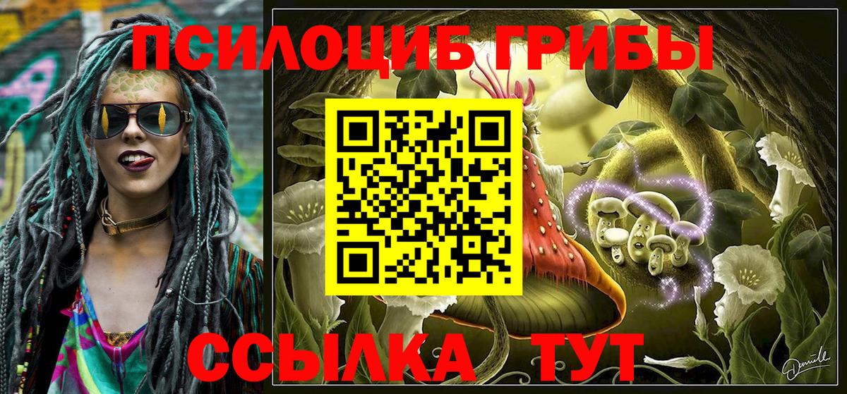 Псилоцибиновые грибы мицелий  Вход с VPN  где можно купить наркотик  Рассказово 